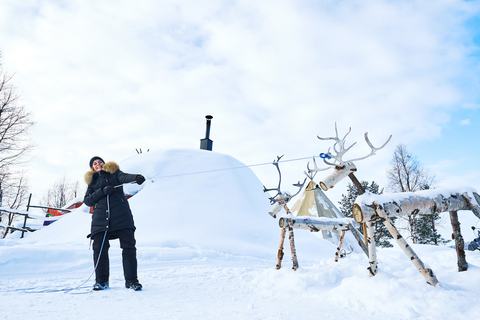 Vanuit Abisko/Björkliden: Bezoek de Sami &amp; rendieren in Kiruna