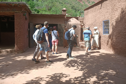 From Marrakech: Ourika Valley and Atlas Mountains Day Tour