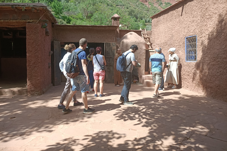 From Marrakech: Ourika Valley and Atlas Mountains Day Tour