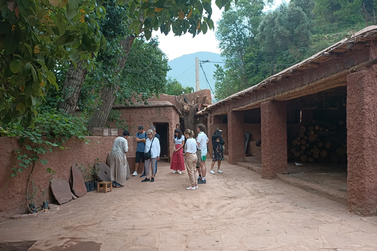 De Marrakech: Excursão de um dia ao Vale do Ourika e às Montanhas Atlas