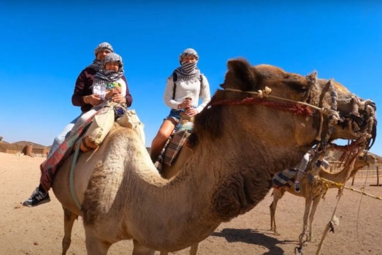 Sahl Hasheesh: quad, jeep, buggy, kameel met diner en show