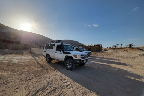 Sahl Hasheesh: Quad, Jeep, Buggy, Camel w/ Dinner & Show