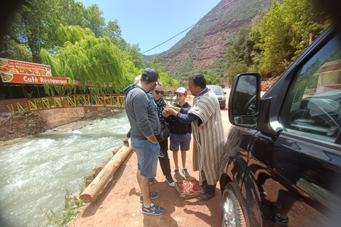 From Marrakech: Ourika Valley and Atlas Mountains Day Tour