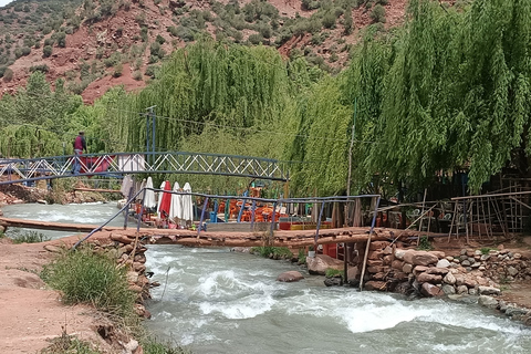 Excursie Ourika-vallei en Atlasgebergte