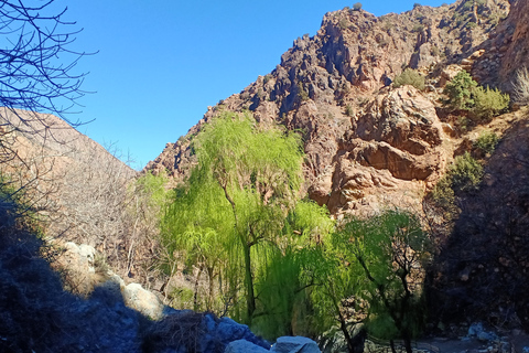 De Marrakech: Excursão de um dia ao Vale do Ourika e às Montanhas Atlas