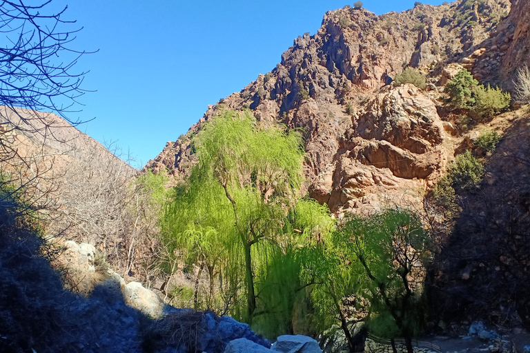 De Marrakech: Excursão de um dia ao Vale do Ourika e às Montanhas Atlas