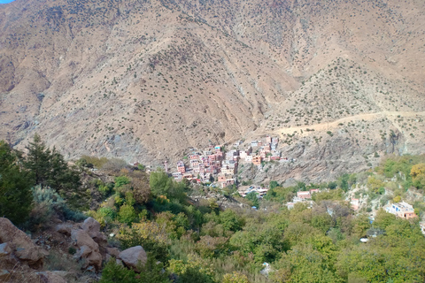 Excursie Ourika-vallei en Atlasgebergte