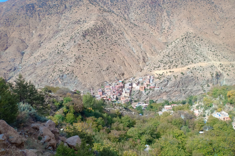 From Marrakech: Ourika Valley and Atlas Mountains Day Tour