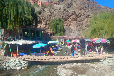 From Marrakech: Ourika Valley and Atlas Mountains Day Tour