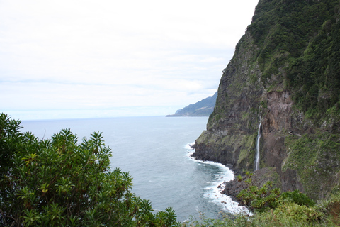 Tour Ovest Porto MonizOvest Tour Porto Moniz