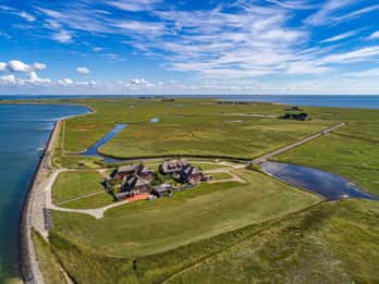 Von Nordstrand aus: Bootstour zur Hallig Hooge