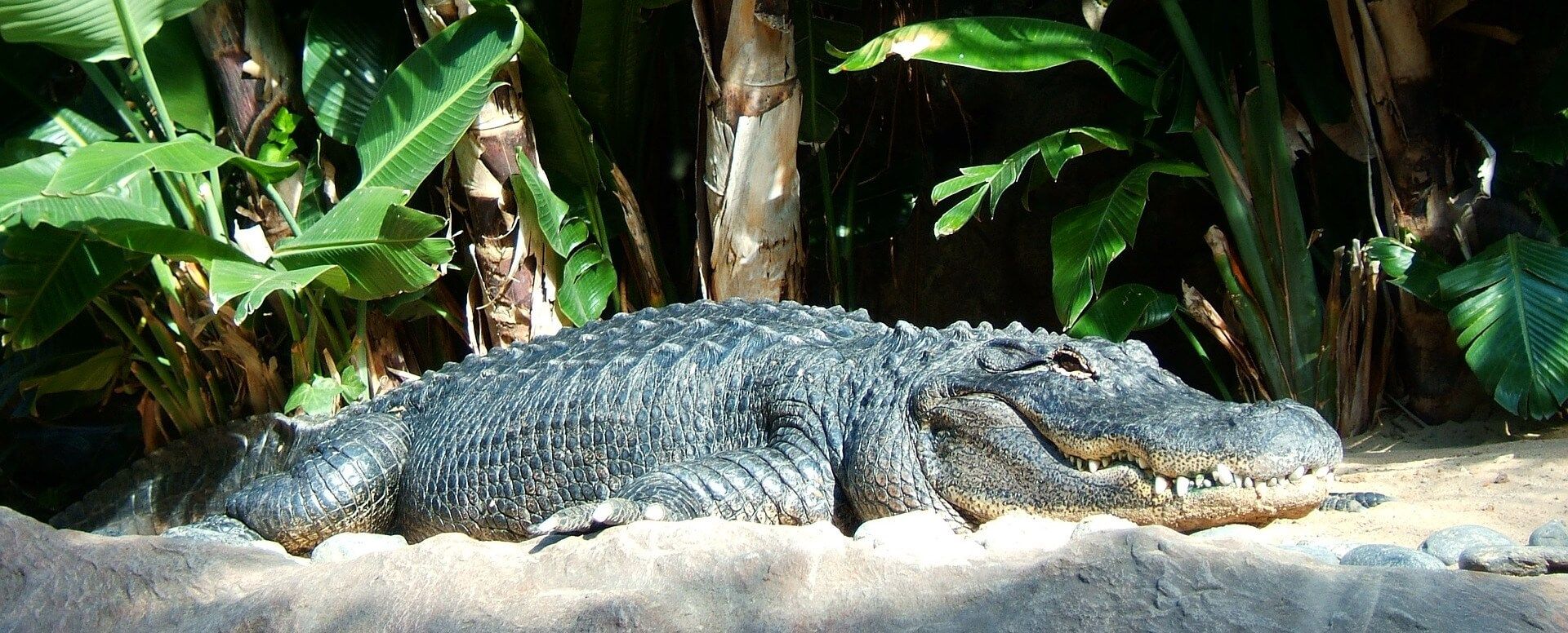 Tier- & Naturparks, private Tour