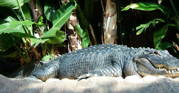 Animal & Nature Parks, Private Tour