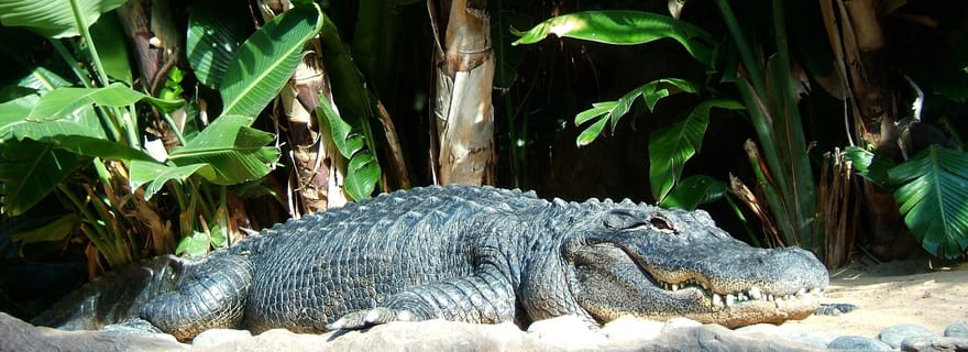 Parcs animaliers et naturels, visite privée avec déjeuner et tous les billets