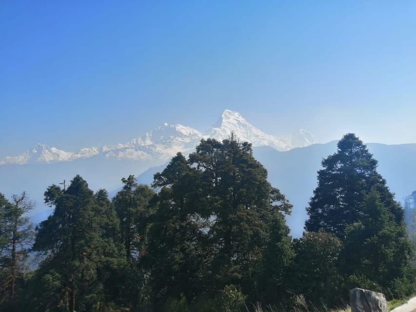 Desde Pokhara Presupuesto 5 días Poon hill Hot spring trek GetYourGuide