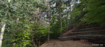 Linguaglossa: North Etna Guided Forest Walking Tour
