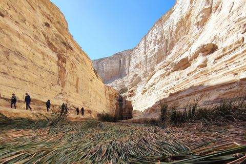 Tour privato di Masada, Ein Gedi e Mar MortoTour privato da Herzliya