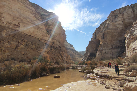 Tour privato di Masada, Ein Gedi e Mar MortoTour privato da Herzliya