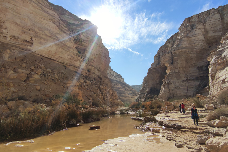 Privat dagstur till Masada, Ein Gedi och Döda havetPrivat utflykt från Herzliya