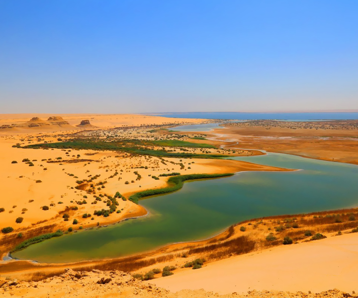 Private tour El Fayoum Oasis and Wadi Rayan waterfall