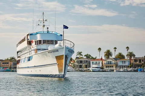 Newport Beach: Christmas Eve Buffet Brunch or Dinner Cruise
