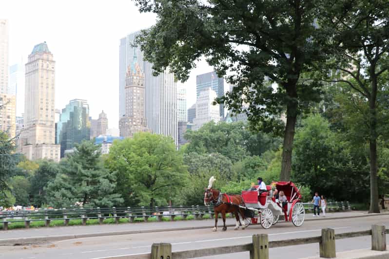 New York City Private Horse Carriage Ride in Central Park GetYourGuide