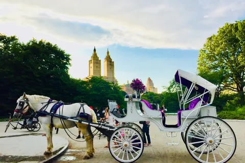 Manhattan: VIP privat hestevogntur i Central Park