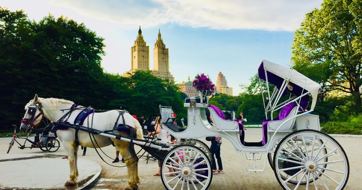 Manhattan VIP Private Horse Carriage Ride in Central Park GetYourGuide