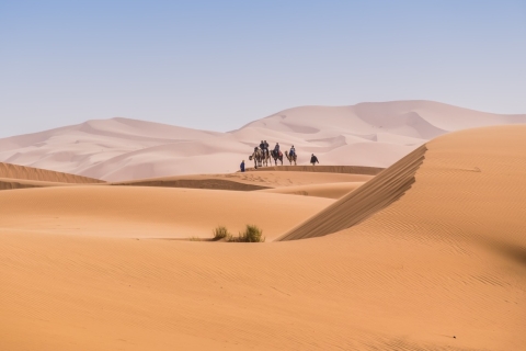 Agadir: Chegaga Wild Desert 3 Days Including Desert Camp