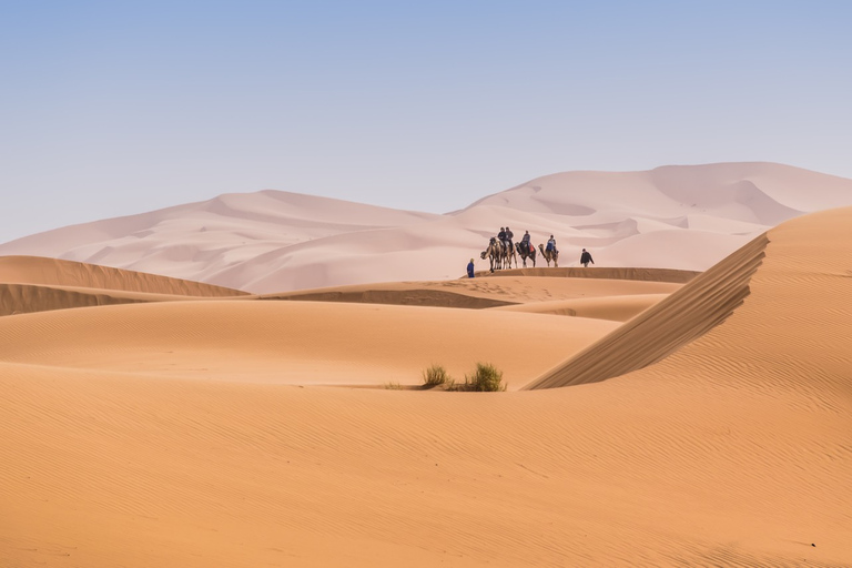 Agadir : Désert sauvage de Chegaga 3 jours, y compris le campement dans le désert