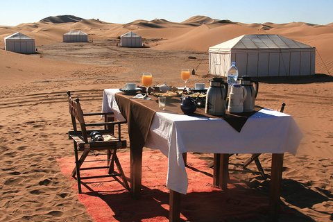 Agadir: Chegaga Desierto Salvaje 3 Días Incluido Campamento en el Desierto