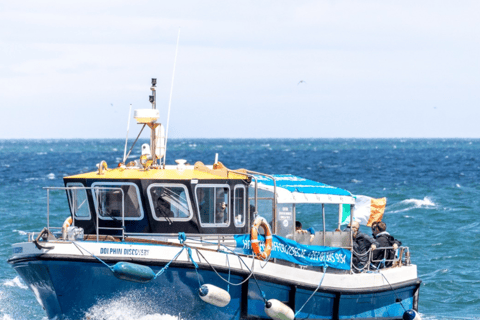 Dublino: Tour in barca della Baia di Dublino e dell&#039;Occhio d&#039;Irlanda