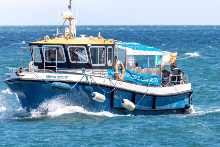 Dublín: Tour en barco por la Bahía de Dublín y el Ojo de Irlanda