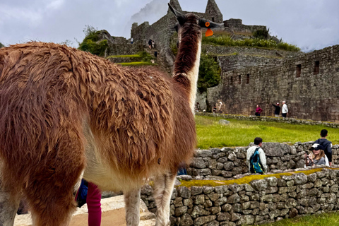 Machu Picchu: Last-Minute Circuit 2 or 3 with Private Guide