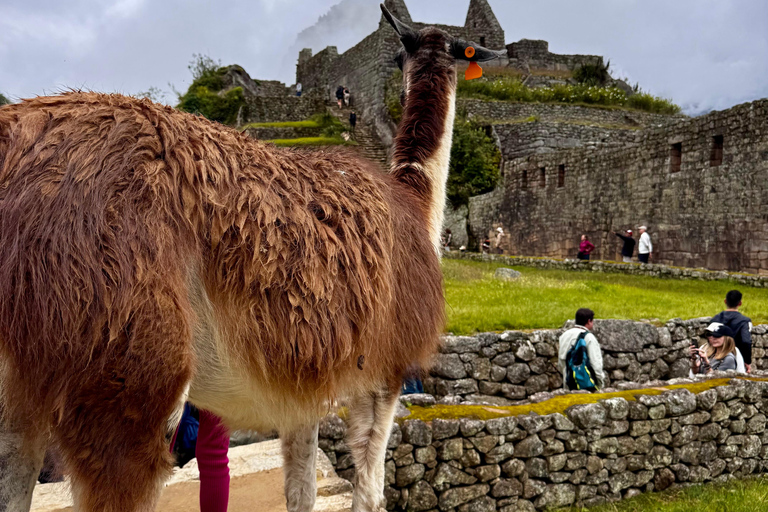 Machu Picchu: Last-Minute Circuit 2 or 3 with Private Guide