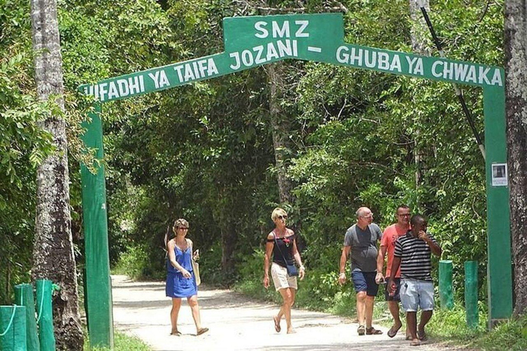 Zanzibar: Mnemba Dolphin, Jozani Forest & Turtle Sanctuary Private Tour without Hotel transfer