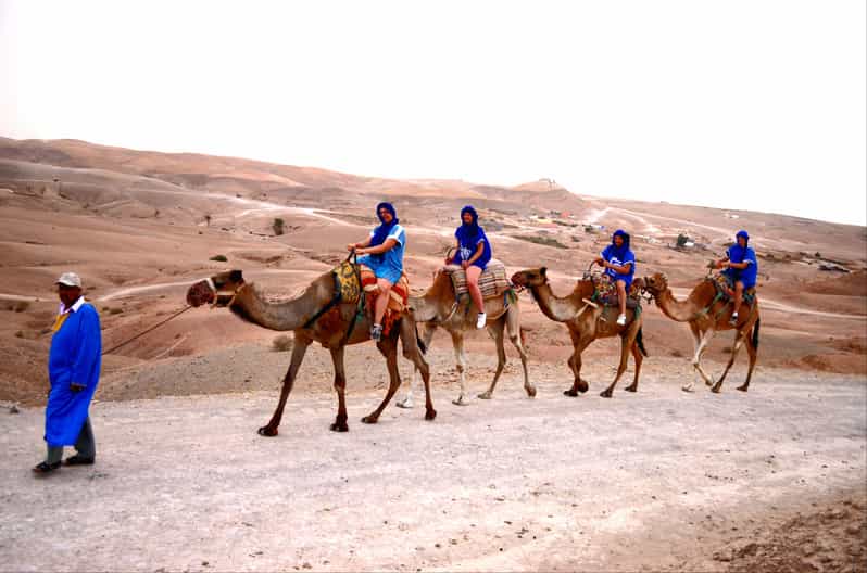 Camel Ride at Agafay Desert with Dinner & Show | GetYourGuide