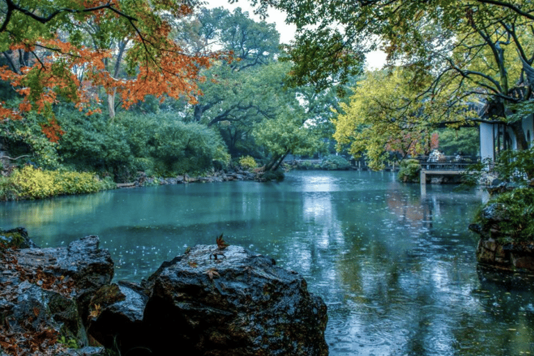 Hangzhou: Longjing Tea Culture & Nine Creeks Day Tour
