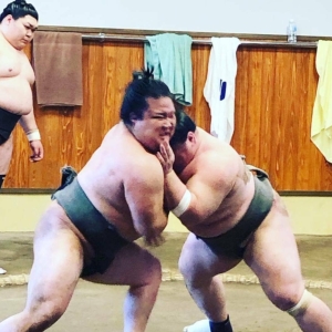 Tokyo: Sumo Morning Practice Tour at Sumida City
