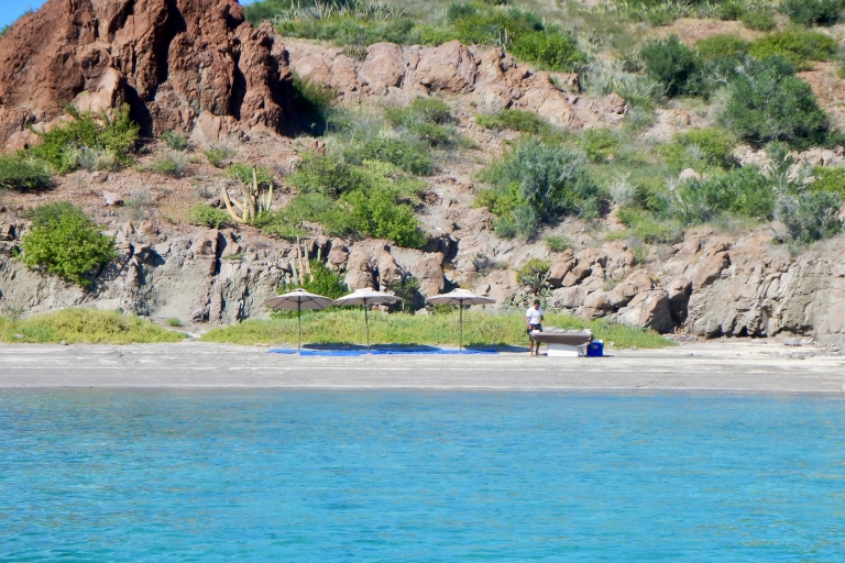 Danzante-eiland & snorkeltour vanuit Villa del Palmar Hotel