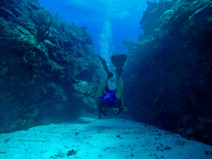 San Pedro, Belize scuba diving GetYourGuide