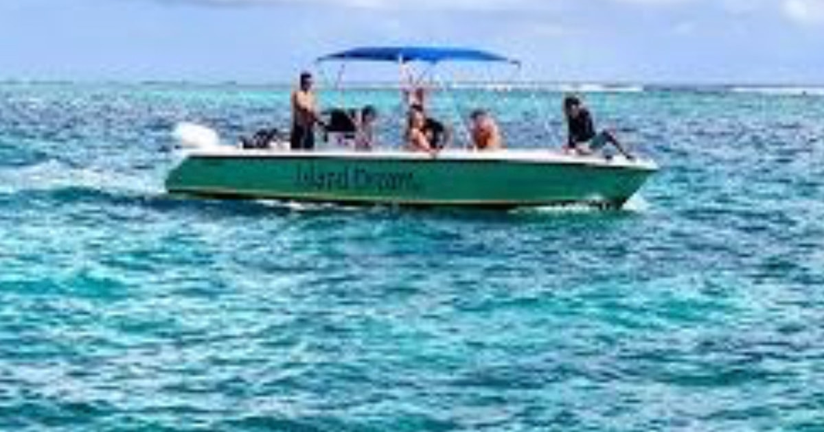 Buceo en San Pedro, Belice GetYourGuide