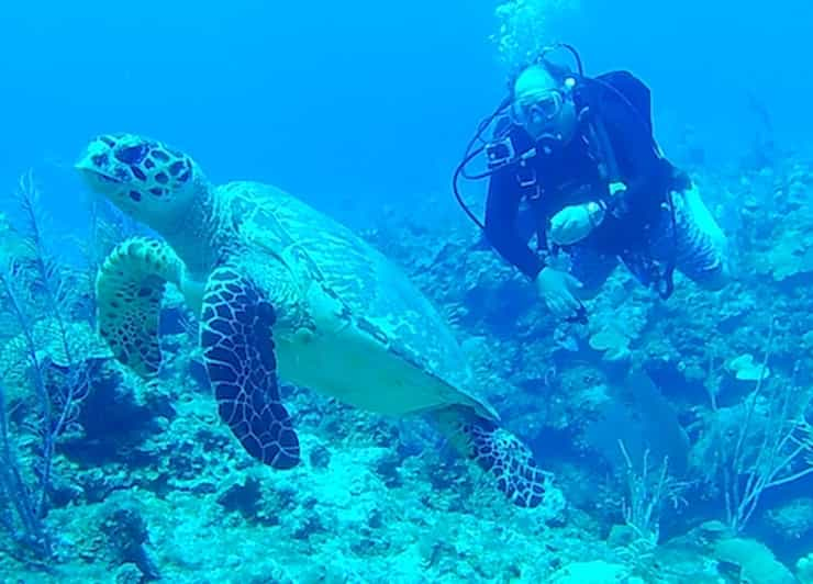 San Pedro, Belize scuba diving | GetYourGuide