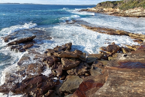 Sydney: Kiama Coast, natuur, stranden en BBQ-rondleiding met kleine groepenPrivétour Sydney South Coast Scenic Nature