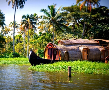 From Cochin: 8 Day Kerala Tour Package with Houseboat Stay
