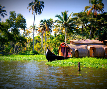 From Cochin: 8 Day Kerala Tour Package with Houseboat Stay