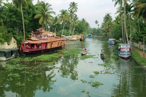 From Cochin: 8 Days Kerala Tour Package With 4 Star Hotels Accommodation