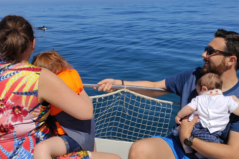 Estepona : Excursion en bateau à la recherche de dauphins avec boissons et collations