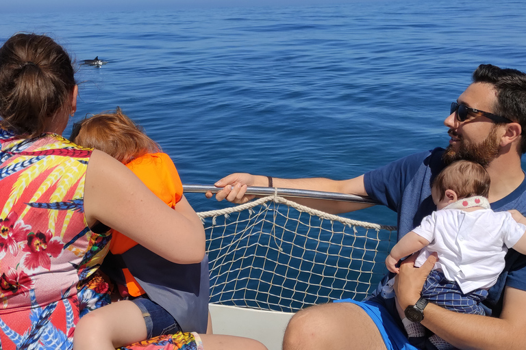 Estepona : Excursion en bateau à la recherche de dauphins avec boissons et collations