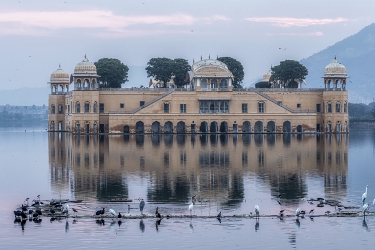 Von Jaipur aus: Ganztägige Jaipur Highlight Tour mit dem Auto